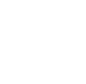 logo web blanco